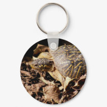 Ornate Box Turtle keychains by SuanSilverTree Ornate Box Turtle keychains