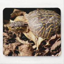 Ornate Box Turtle mousepads by SuanSilverTree Ornate Box Turtle mousepads