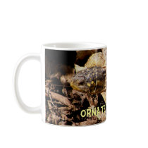 Ornate Box Turtle mugs by SuanSilverTree Ornate Box Turtle mugs
