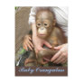 Orphan Baby Orangutan Post Card