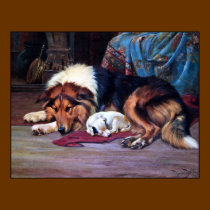 Orphan Dog Rescued by a Collie - Vintage Art Print