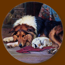 Orphan Dog with Collie Vintage Art buttons