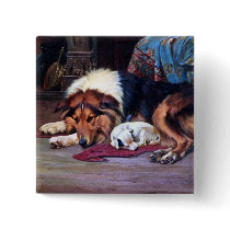 Orphan Dog with Collie Vintage Art Buttons