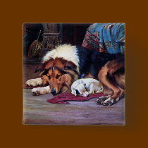 Orphan Dog with Collie Vintage Art buttons