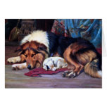 Orphan Dog with Collie Vintage Art Greeting Cards