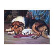 Orphan Dog with Collie Vintage Art Postcards