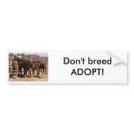 Orphan foals bumper sticker