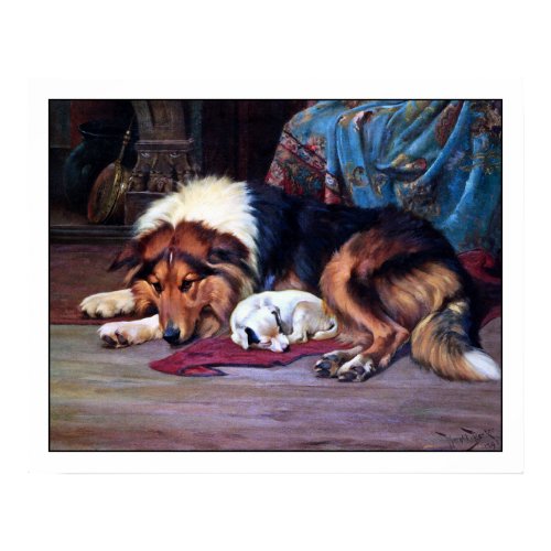 Orphan Puppy and a Collie - by Wright Barker print