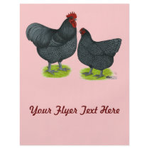 Orpington:  Blue Pair Full Color Flyer
