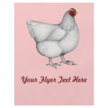 Orpington White Hen flyers