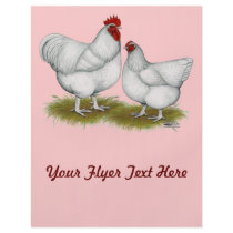 Orpington:  White Pair Full Color Flyer