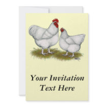 Orpington:  White Pair Invite