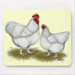 Orpington:  White Pair Mousepads