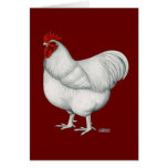 Orpington White Rooster Greeting Cards