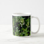 Orquídea salvaje (Plantanthera Blephariglottis) Taza De Café