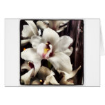 Orquídeas blancas por Debuxos Tarjeta