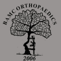 Ortho tree, 2006 t-shirts