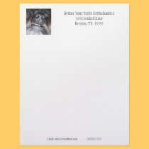 Orthodontics letterhead by cheerycherry Orthodontics letterhead
