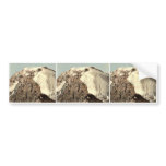 Ortler Group, from the Payerhutte, Tyrol, Austro-H Bumper Stickers