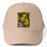 ORULA TRUCKER HAT