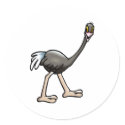 Orville Ostrich stickers by BisforBirds Orville Ostrich stickers