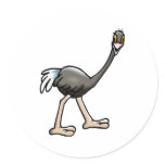 Orville Ostrich