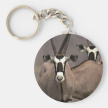 Oryx antelope keychain