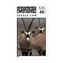Oryx antelope postage