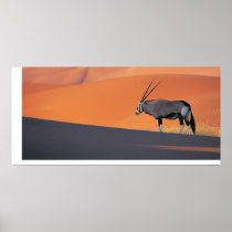 Oryx Print