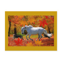 OSADA'S FALL FUN POST CARD