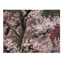 Osaka, Japan Post Cards