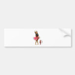 osama-bush-combo bumper stickers