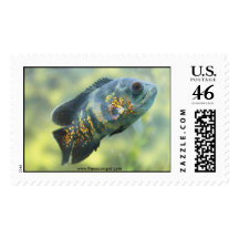 Oscar Fish Postage