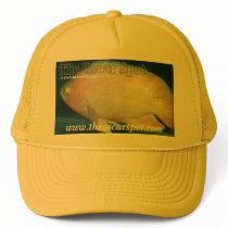 Oscar hats by oscar_azac Oscar hats