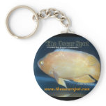 Oscar Keychains