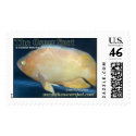 Oscar postage by oscar_azac Oscar postage