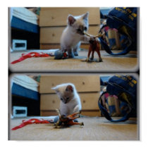 Oscar "The Cat" Petroni vs. The Moose posters by ninoblader Oscar "The Cat" Petroni vs. The Moose posters