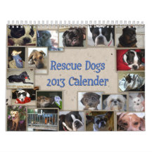 Oscar's Rescue Dog Calender Wall Calendars