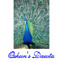 Oshun's Dawta Tshirt