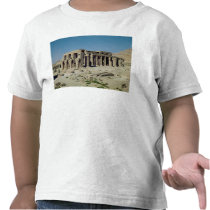 Osiride figures Ramesses II  flanking the walls Tee Shirt