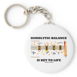 Osmolytic Balance Is Key To Life (Na-K Pump) keychain