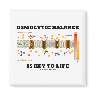 Osmolytic Balance Is Key To Life (Na-K Pump) magnet