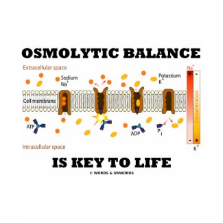 Osmolytic Balance Is Key To Life (Na-K Pump) shirt