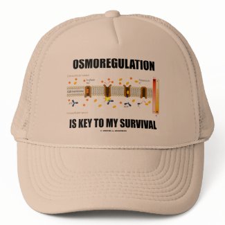 Osmoregulation Is Key To My Survival hat