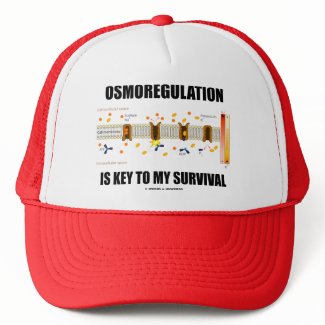 Osmoregulation Is Key To My Survival hat