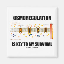 Osmoregulation Is Key To My Survival Magnet