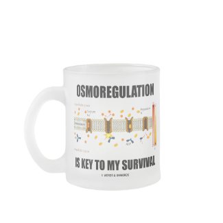 Osmoregulation Is Key To My Survival mug