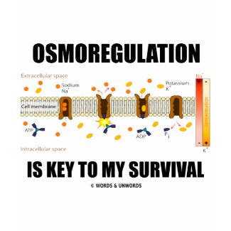 Osmoregulation Is Key To My Survival shirt