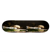 Oso polar Stereophoto Monopatines