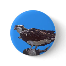 Osprey Bird buttons
